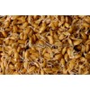 PREMIER SEEDS DIRECT - Sprouting Seeds - Wheat - 40GM