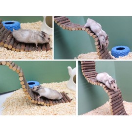 Rat Ladder Bridge, Wooden Hamster Climbing Ladder Toy, Small Animals Cage Accessories for Bird Parrot Hamster Mouse Rat Sugar Glider Hermit Crab Sugar Glider Chinchilla(23.62x3.14 Inches)