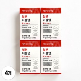 Vitamin Village Iron Double Up Iron Supplement 120 tablets 4 boxes 540221 / 비타민마을 철분 더블업 철분제 120정 4박스 540221
