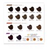 Color Tech Tinte Permanente Profesional Para Cabello Color Tech