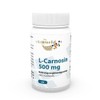 Vita World L-Carnosine 500mg 60 Vegetable Capsules 1500mg Daily dose