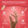NutraScout #1 D-Mannose Capsules for Urinary & Bladder Health |