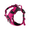 BullyBillows Hurricane Harness | Non-Restrictive Dog Harness | Made With