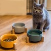 MATCHI Plato De Cerámica Comedero, Bebedro para Perros Y Gatos