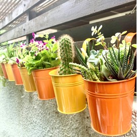 LaLaGreen Small Hanging Planters - 10 Pack, 4 Inch Black Metal Bucket Small Flower Pots for Outdoor Outside, Balcony Railing Hanging, Cute Garden Decor Rail Wall Farmhouse Rustic Deck Porch Succulent