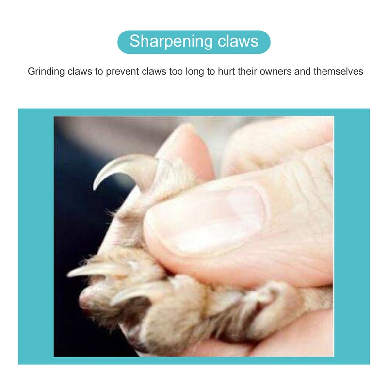 Foldable Cat Scratching Board Abrasion Resistant Magnetic Claw Grinding Cat