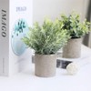 THE BLOOM TIMES Set of 3 Small Potted Artificial Plants