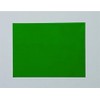 25 Dry Erase Magnet Shelf Labels 1" x 3" - Kelly Green - 20 mil