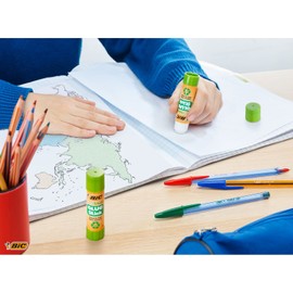 BIC 21 g Ecolutions Glue Stick (Pack of 2)