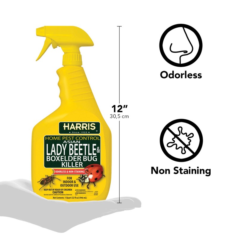 Harris Asian Lady Beetle and Box Elder Killer, Liquid Spray