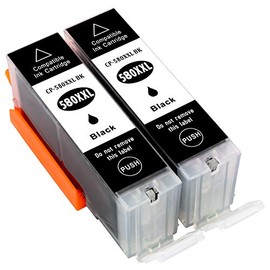 ESMONLINE 2 Compatible XXL Printer Cartridges Black to Replace Canon PGI-580BK
