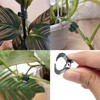MEETOOT 100 Plant Fixing Clips Orchid Support Clips Vine Fixing