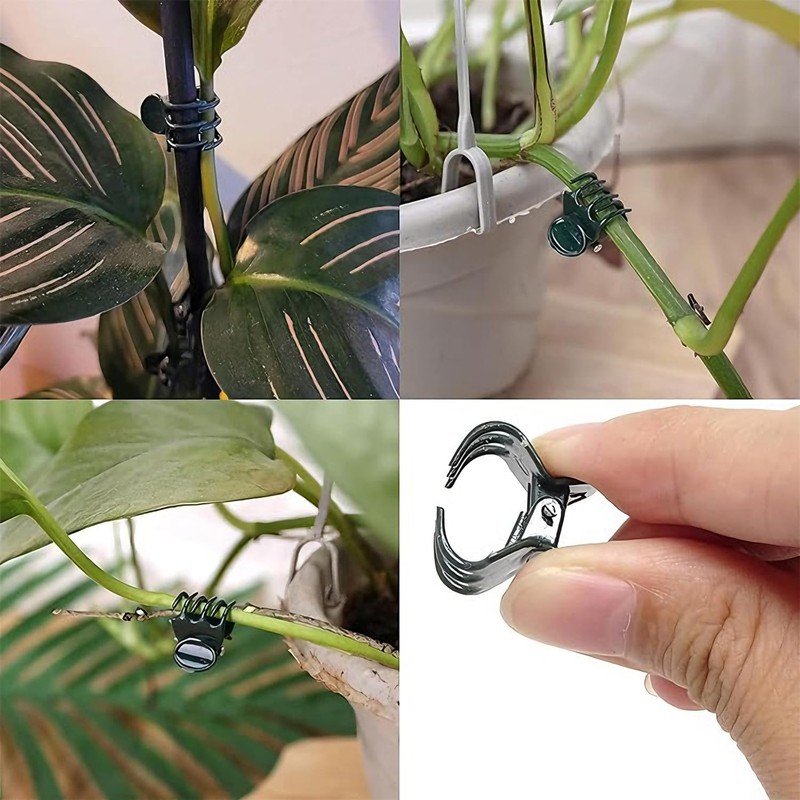MEETOOT 100 Plant Fixing Clips Orchid Support Clips Vine Fixing
