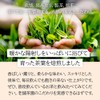 Mizutama Farm Caffeine-less Roasted Roasted Tea Bag 0.2 oz (5