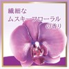 LUX Body Soap, Musky Floral Refill, 10.6 oz (300 g)
