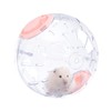 7.9 Inch Hamster Ball, Running Ball Toy, Transparent, Breathable, Promote