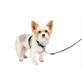 PetSafe 3-in-1 Anti-Pull Dog Harness Plus Car Belt - Comfortable, Reflectors, Harness Handle - Size: XS, S, M, L - Black, Blue, Purple