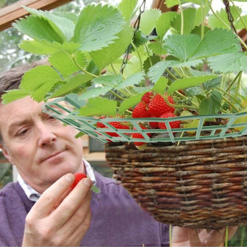 Strawberry Support Stand, Pack of 10 Strawberry Rippers and Fruit