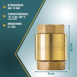 Poppstar Check Valve 1 Inch (Brass, Rustproof & Waterproof) for Pump and Washing Machine