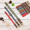 Didog Soft Padded Leather Collar for Medium Dogs Classic Dog