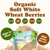 Food to Live Organic Soft White Wheat Berries, 1 Pound
