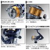 Daiwa LT2000 20 Crest Spinning Reel, 2020 Model