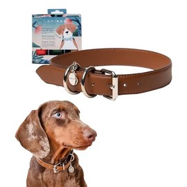 AMIKOO | Collar para Perro | Diseño Artesanal Mexicano | Hecho de Piel Vegana | Compra con Causa | Accesorios para Perros | Cruelty Free | Café | Talla XL