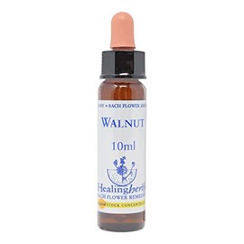 Healing Herbs/Flower Essence [Walnut]
