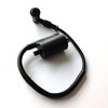 Deepa Ribusu Suzuki GN125 Ignition Coil, Ignition Coil, Compatible Product