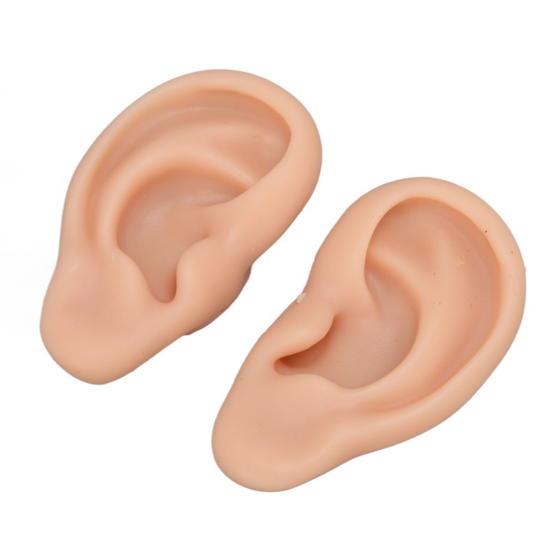 Silicone Ear Model Novice Simulated 3D Nose and Mouth Model