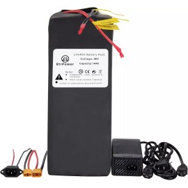 BtrPower EBike Battery 36V 10AH 8Ah 20Ah 25Ah Li-ion Lifepo4 for Electric Bike Scooter - 36V 14Ah(Lifepo4)