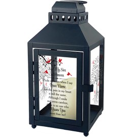 Son Memorial Lantern, Cardinal Lantern Son Bereavement Gifts, Memorial Gift for Loss of Son, in Memory of Son Lantern with Led Candle TNN1