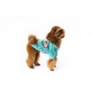 Fashion for Dogs T-Shirt | Stylish All Season Clothing for