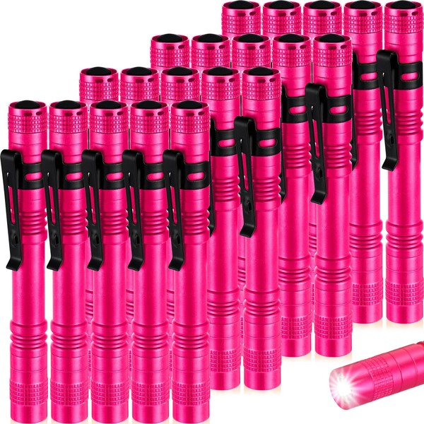 Hortsun 20 Pcs Mini Pen Light Flashlights Pocket Flashlights Pen