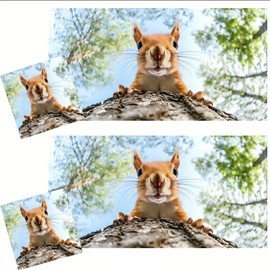 2 Pcs Fluorescent Light Cover Classroom Lighting Cover with 10 Magnets Light Filter Magnetic Ceiling Panel Decoration 2 x 4 ft Reduce Glare for Office School (Squirrel Exploration)
