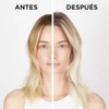 KÉRASTASE Blond Absolu Kit Matizador Ultra Violet para Cabello Rubio,