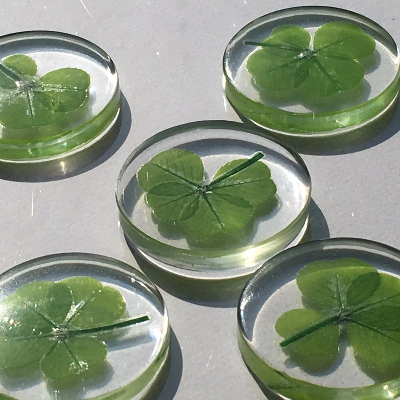 Real Four Leaf Clover "Good Luck Pocket Token" Traditional Lucky