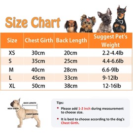 Vestido para Perros Pequeños de Mariposa Arcoíris, Ropa para Perro Pequeño, Ropa Cómoda Sin Mangas de Encaje, Disfraz de Princesa para Chihuahua, Yorkie, Pomeranian (Rosa, M)