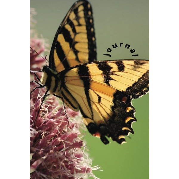 Journal: Beautiful notebook / diary with butterfly and flowers on