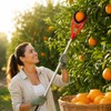Fruit Picker Tool for Tree Harvesting – 3-Claw Handheld Collector