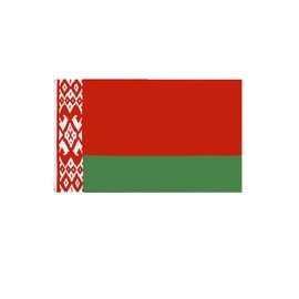 Stormflag Belarus Flag 90 x 150 cm Belarus Flag 3 x 5 ft Polyester 90 g with Eyelets Stitched with Double Needle