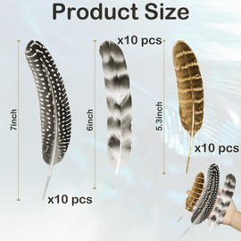 30Pcs Natural Turkey Feathers, 5.3-7 Inch Craft Feathers Pheasant for Hats, 3 Style Mixed Natural Feathers for Carnival Costume Feather Mask Wedding Party Decoration Flower Arrangement