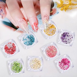Dry Flowers Nail Parts Set of 6 Nail Pressed Flowers Nail Art Dried Flowers Natural Pressed Flowers Ultra Thin Gel Nail Resin Nail Art Deco Parts DIY Material (Gypsophila)