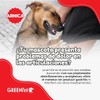 Greenvet Arnica