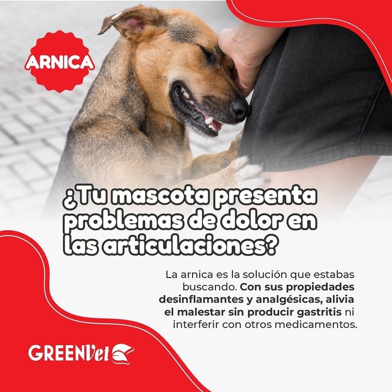 Greenvet Arnica