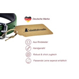 Schnüffelfreunde Leather Dog Collar, Dog Collar for Large, Medium and Small Dogs, Leather Collar Padded, Robust (M - 28-36 cm, Green)