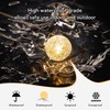 BEEWIN Globe String Lights,10FT 30 LED Decorative Christmas Lights,8 Modes