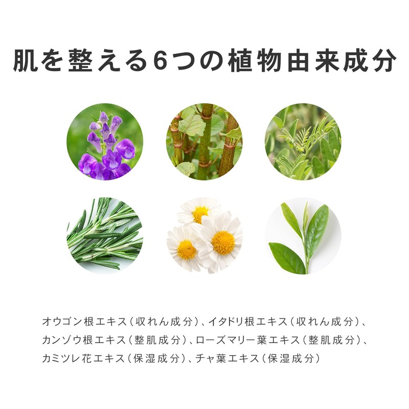 PLuS Effect Shot CICA Mask (Pack of 12)