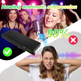Professional Feedback Eliminator & Feedback Suppressor Audio Processor - 2-Channel anti-howling suppressor for Performance Stage Conference & Karaoke, Plug-and-Play Design, 2-in 2-Out green
