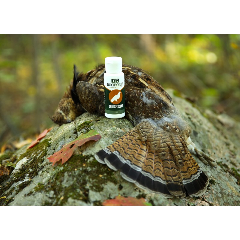 DogBone Grouse Scent for Training Your Bird Dog